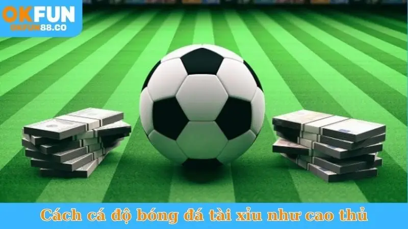 Cách cá độ bóng đá tài xỉu như cao thủ