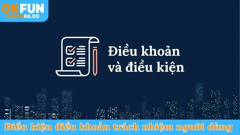 Điều kiện điều khoản về trách nhiệm người dùng 