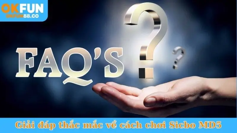 Giải đáp thắc mắc về cách chơi Sicbo MD5
