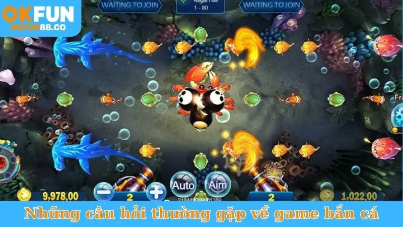 Những câu hỏi thường gặp về game bắn cá
